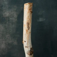 Ashland® Natural River Birch