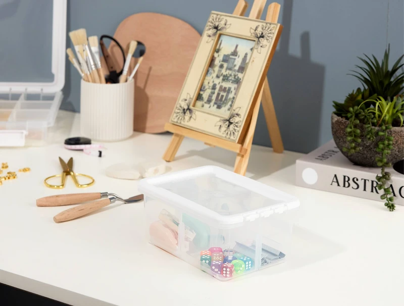 Ezy Storage 4-Compartment Storage Box