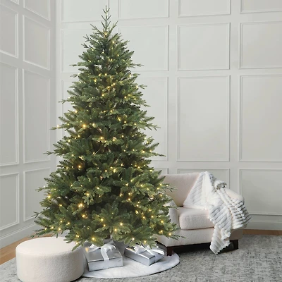 7.5ft. Pre-Lit Windsor Spruce Artificial Christmas Tree, Color Changing LED Lights by Ashland®