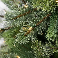 7.5ft. Pre-Lit Jackson Spruce Artificial Christmas Tree, Warm White LED Lights by Ashland®