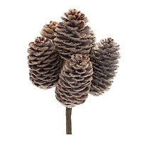 Brown Pinecone Stem Bundle, 12ct.