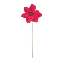 Red Anemone Flower Stems, 12ct.