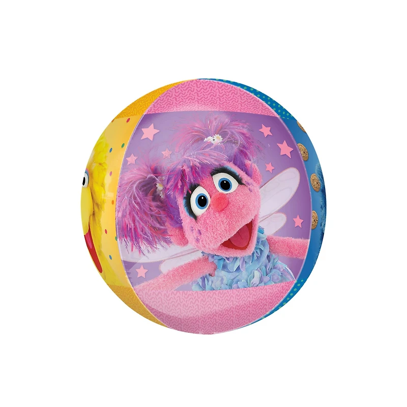 Orbz® XL™ 16" Sesame Street Characters Foil Balloon