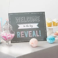 Kate Aspen® Gender Reveal Baby Shower Game Set