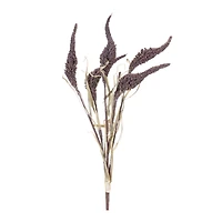 Seeded Harvest Bush, 12ct.