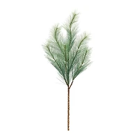 Long Needle Pine Spray, 6ct.