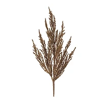 Brown Harvest Plume Stems, 6ct.