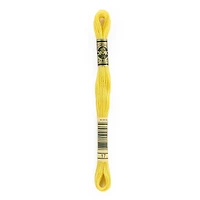DMC® 6 Strand Embroidery Floss