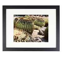 Belmont Frame with Mat by Studio Décor