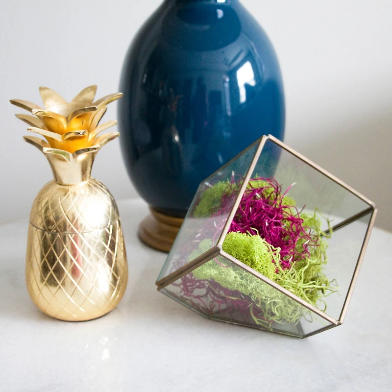 Red Moss Variety Pack by Ashland®