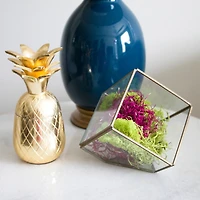 Red Moss Variety Pack by Ashland®