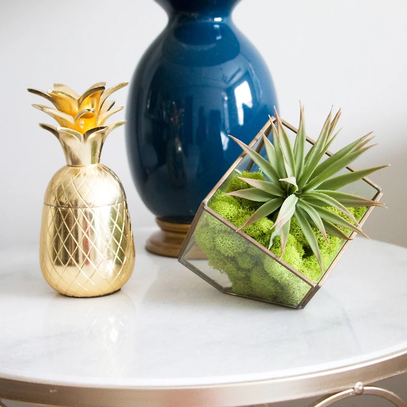 Ashland® Reindeer Moss