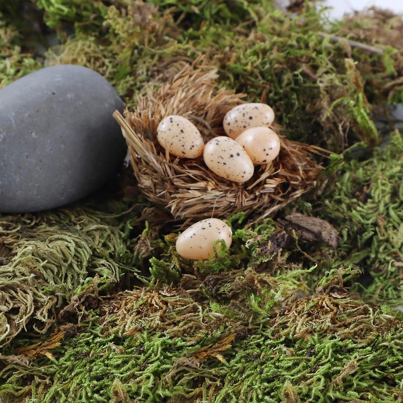 Nature Center Speckled Tan Eggs by Ashland®