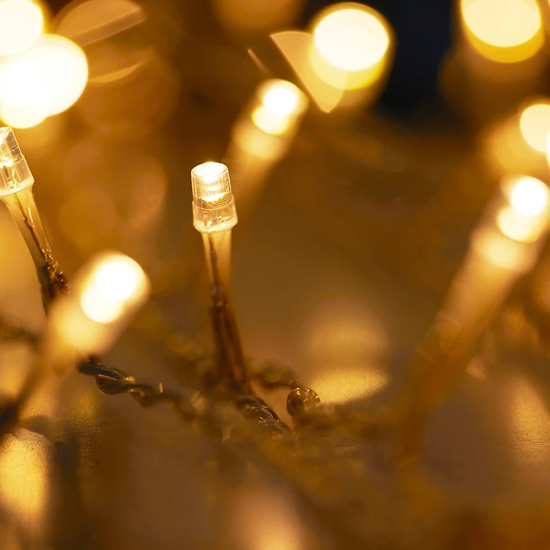 Curtain LED String Lights by Ashland™