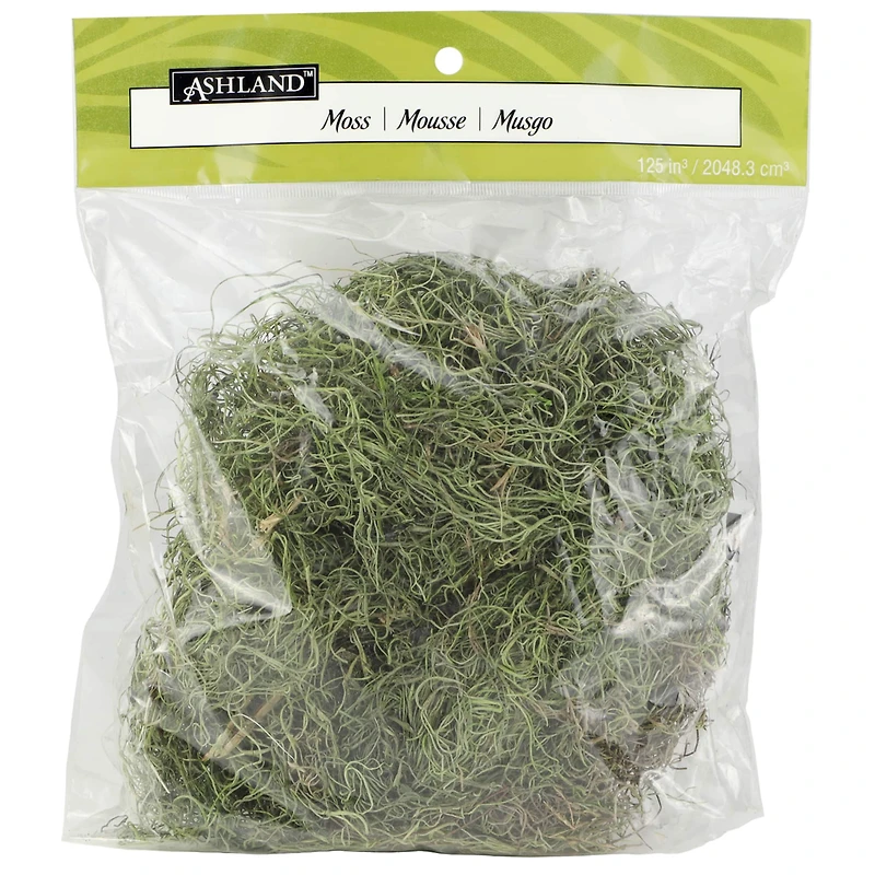 Basil Green Spanish Moss by Ashland®