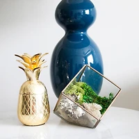 Moss Variety Pack by Ashland®