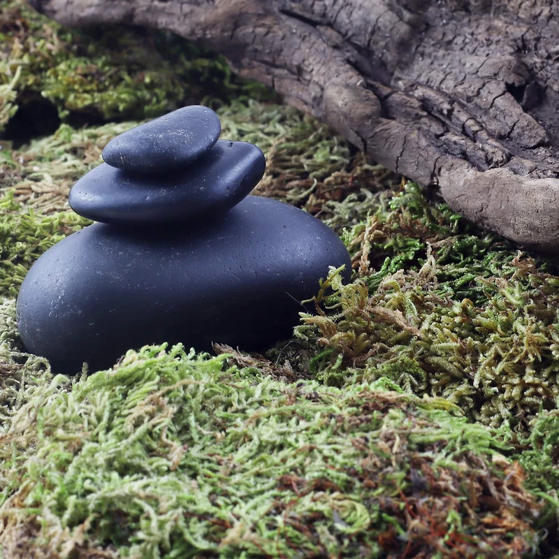 Preserved Forest Moss by Ashland®