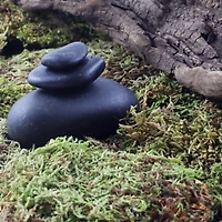 Preserved Forest Moss by Ashland®