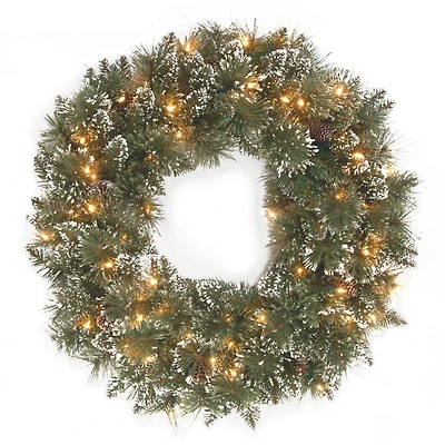 24" Glittery Bristle® Pine Wreath with Clear Lights