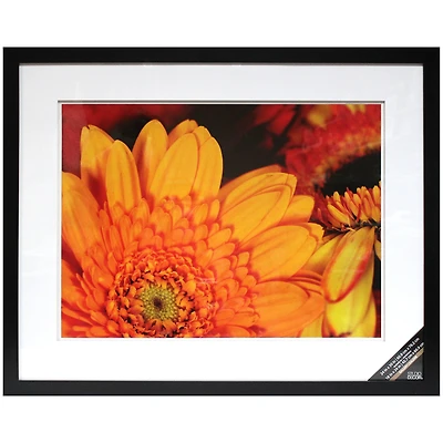 Gallery Black Wall Frame with Double Mat by Studio Décor®