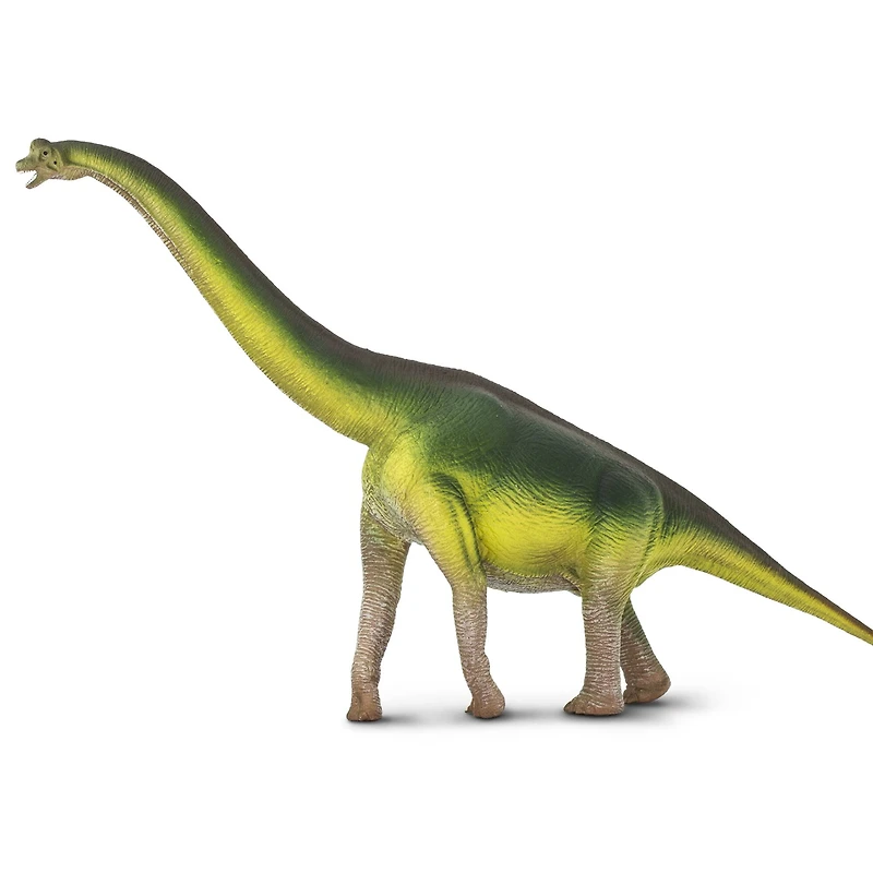 Safari Ltd® Wild Safari® Prehistoric World Brachiosaurus