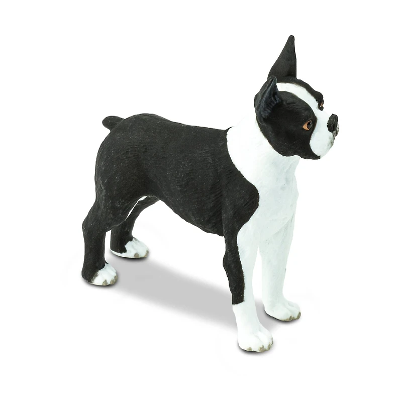 Safari Ltd® Best In Show Dogs Boston Terrier