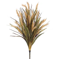Beige Wheat Bush