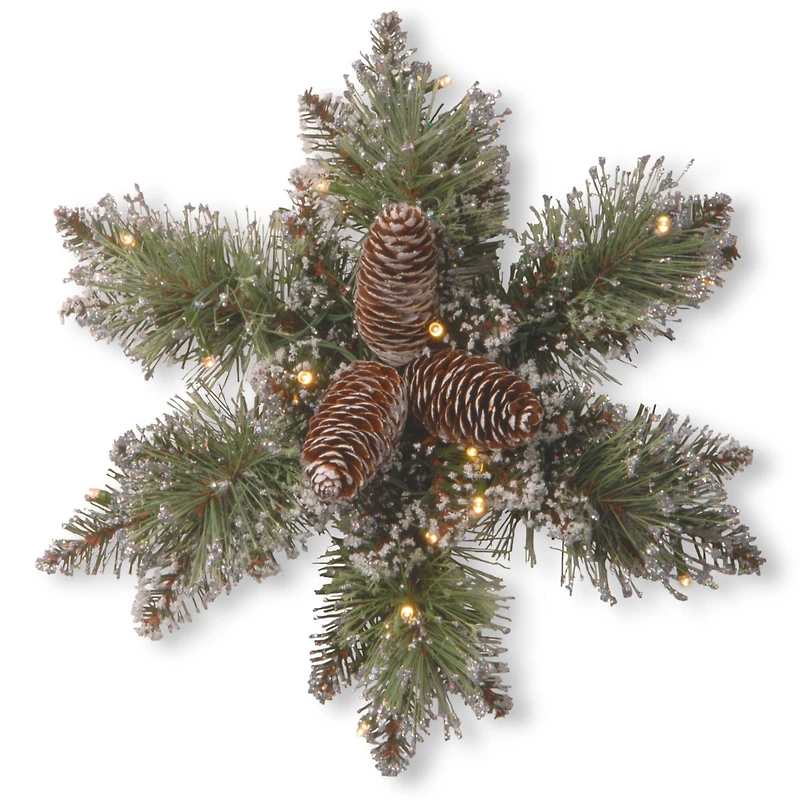 14" Glittery Bristle® Pine Snowflake with Pine Cones & Warm White LED Lights