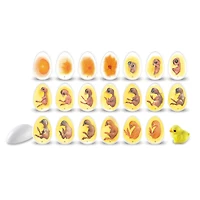 Learning Resources® Chick Life Cycle Exploration Set