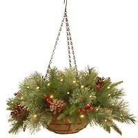 20" Pre-lit Feel Real® Colonial Artificial Christmas Hanging Basket with Cones, Red Berries &50 Warm White Battery Operated LED Lights w/Timer