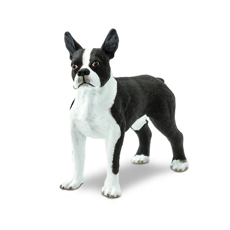 Safari Ltd® Best In Show Dogs Boston Terrier