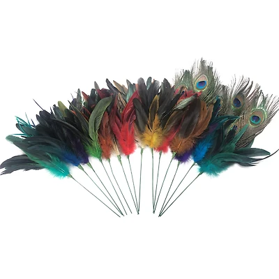 Assorted Colorful Feather Pick by Ashland®