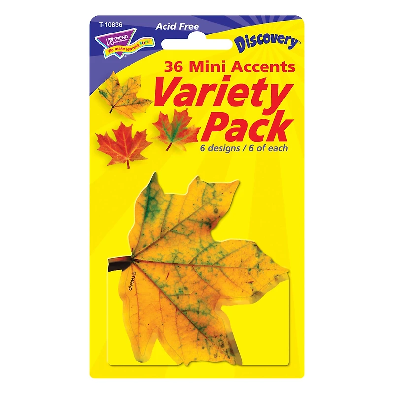 Trend Enterprises® Maple Leaves Mini Accents Variety Pack, 6 Pack