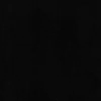 PKL Studio Panther Furocious Home Décor Fabric