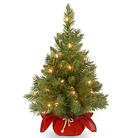 24" Pre-Lit Majestic Fir Tree In Burgundy Cloth Bag, Clear Lights