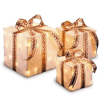 White Sisal Gift Box Set with Clear Lights
