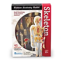 Learning Resources® Skeleton Anatomy Model