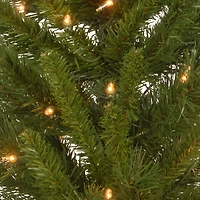 4ft. Pre-Lit Lehigh Valley Pine Entrance Trees with Clear Lights, Set of Two