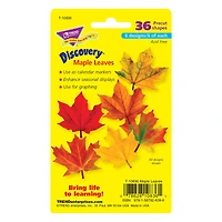 Trend Enterprises® Maple Leaves Mini Accents Variety Pack, 6 Pack