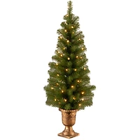 4ft. Pre-Lit Montclair Spruce Entrance Artificial Christmas Tree with Clear Lights
