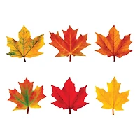 Trend Enterprises® Maple Leaves Mini Accents Variety Pack, 6 Pack