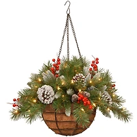 20" Pre-lit Frosted Berry Artificial Christmas Hanging Basket with Cones, Red Berries and Warm White LED Lights