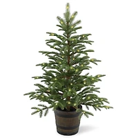 4 ft. Pre-Lit Feel Real® Norwegian Spruce Artificial Christmas Entrance Tree, Clear Lights