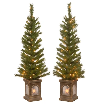 4ft. Pre-Lit Lehigh Valley Pine Entrance Trees with Clear Lights, Set of Two