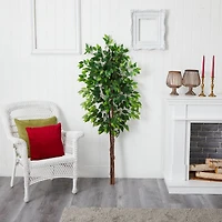 5ft. Artificial Double Trunk Ficus Tree