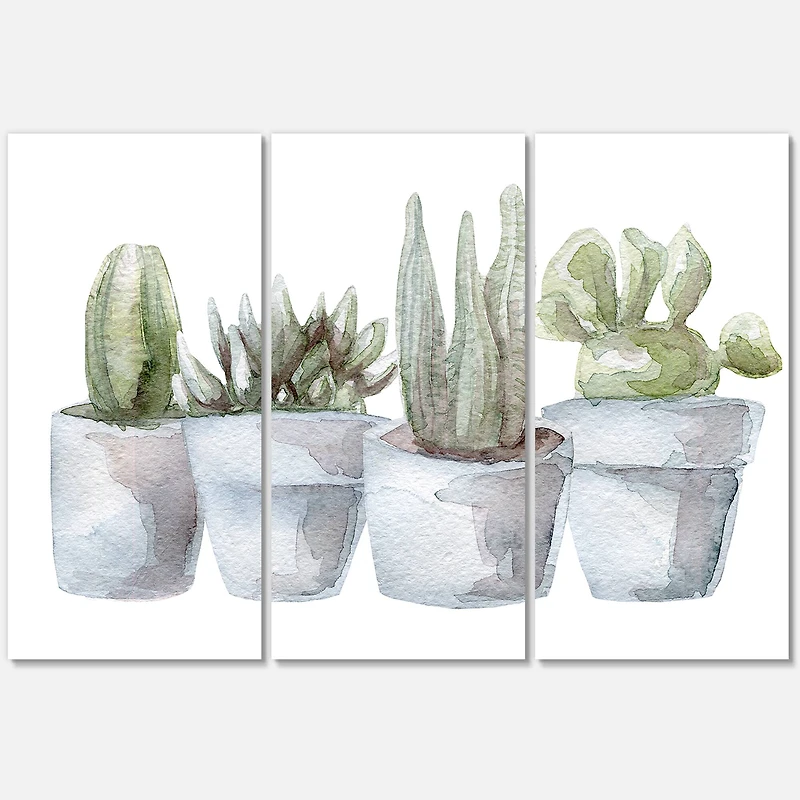 Designart - Cactus and Succulent House Plants V