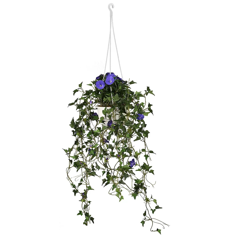 3.5ft. Purple Morning Glory Hanging Plant