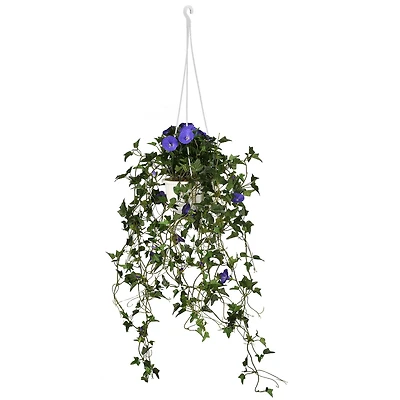 3.5ft. Purple Morning Glory Hanging Plant