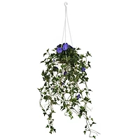 3.5ft. Purple Morning Glory Hanging Plant
