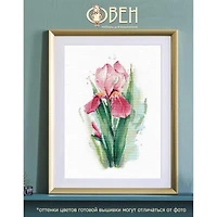 Oven Pink Iris Cross Stitch Kit